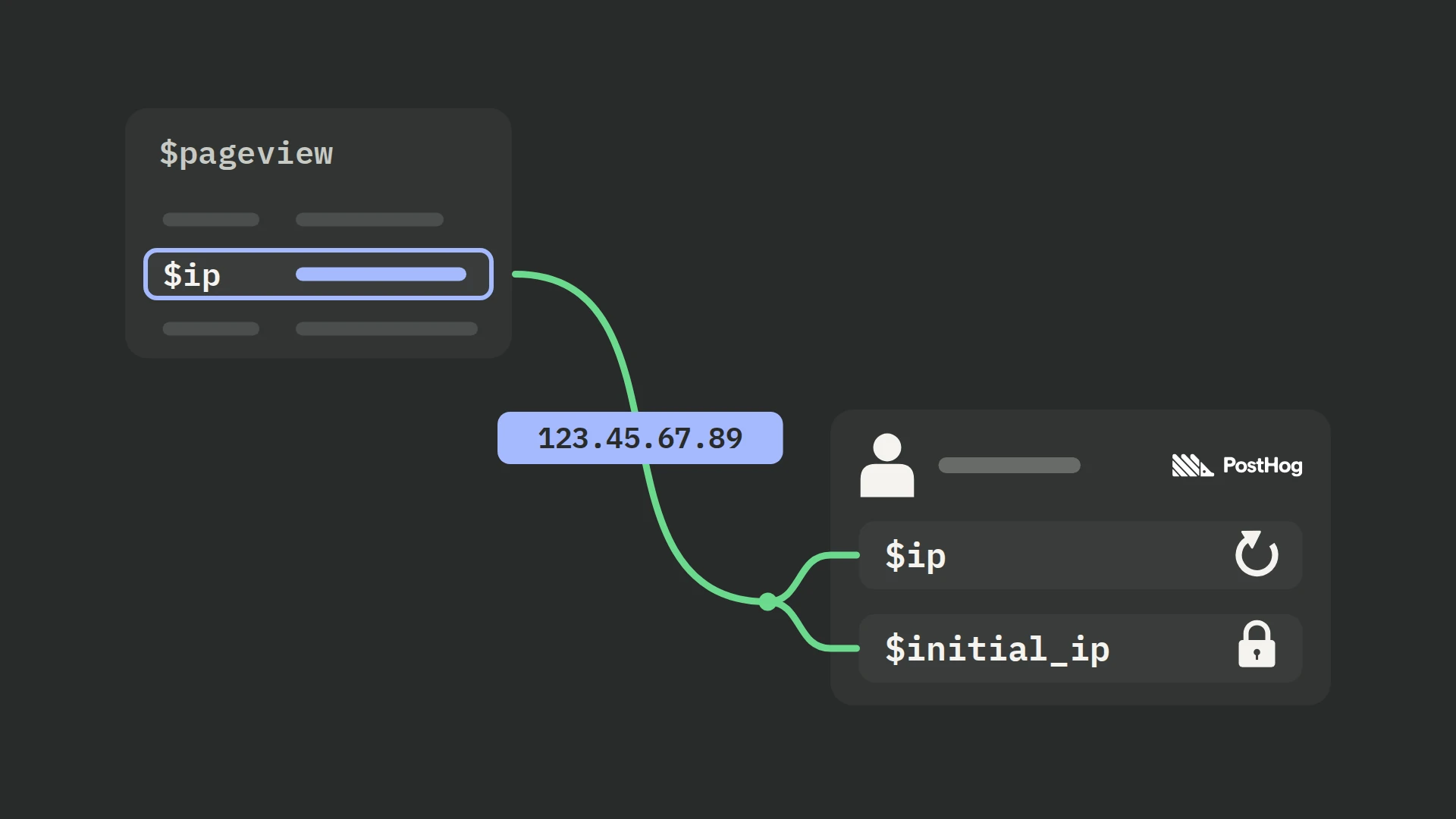 A $pageview event card with a highlighted $ip row. A blue tag reading 123.45.67.89 travels along a green line down to a person profile card, where the line forks into two properties: $ip with a circular update arrow and $initial_ip with a closed padlock.