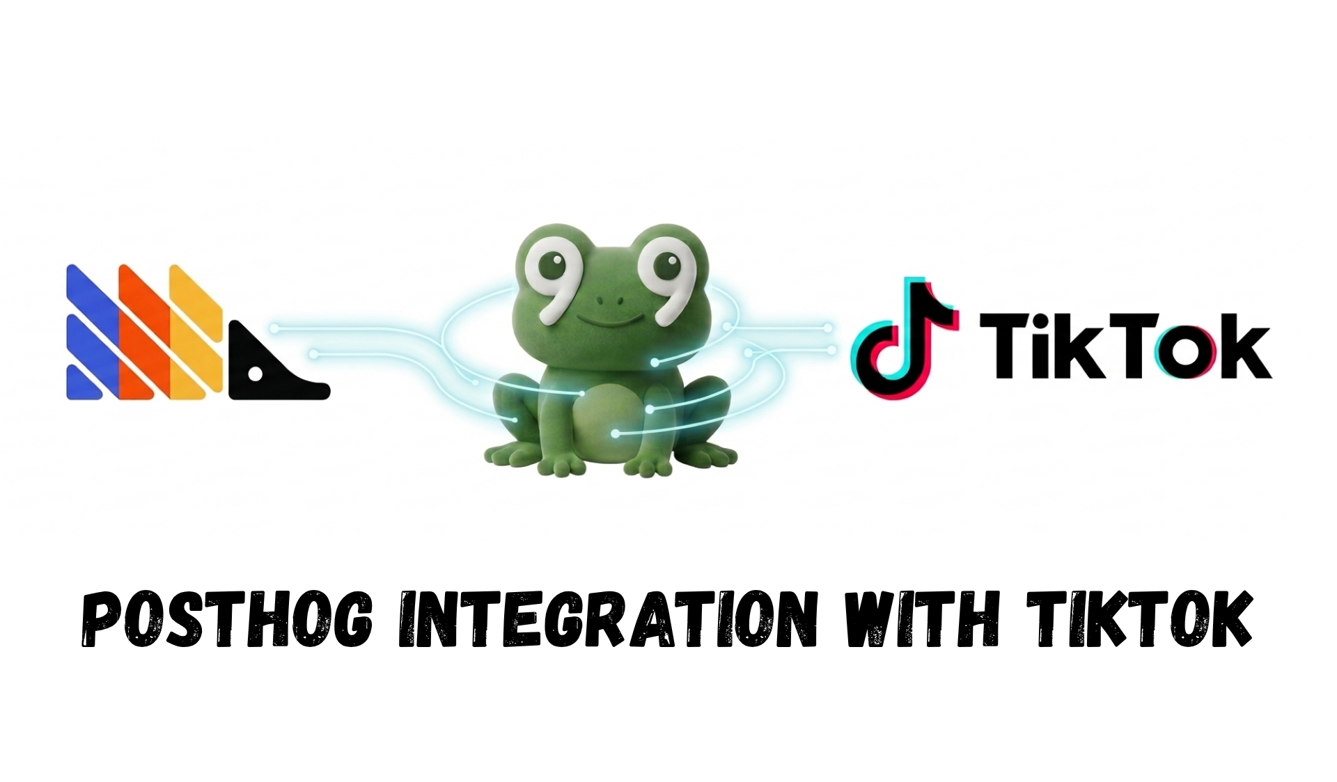 PostHog integration with TikTok
